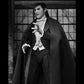 NECA: Universal Monsters - Ultimate Dracula (Carfax Abbey) 7" Tall Action Figure