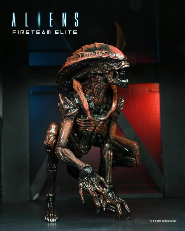 NECA: Fireteam Elite - PROWLER Alien 9" Tall Action Figure