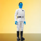 Star Wars: Rebels™ - Grand Admiral Thrawn™ Jumbo Figure